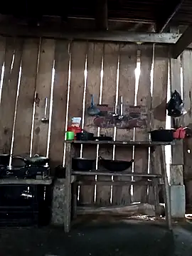 Snapshot of bonnie-00 chatting on December 16, 3:22 am bonnie-00 online show from December 16, 3:22 am