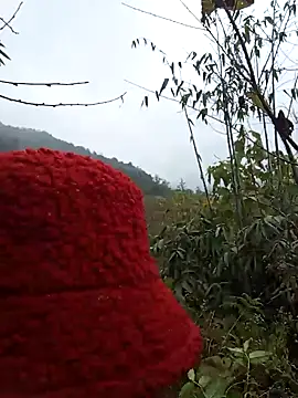 Snapshot of bonnie-00 chatting on January 7, 2:47 am bonnie-00 online show from January 7, 2:47 am