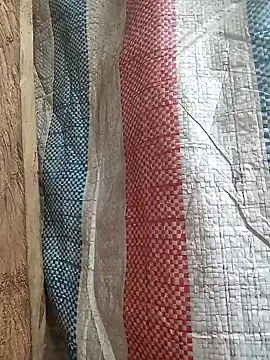 Snapshot of bonnie-00 chatting on January 13, 2:28 am bonnie-00 online show from January 13, 2:28 am