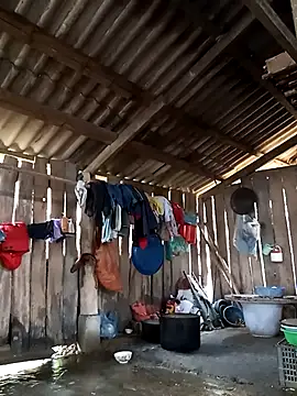 Snapshot of bonnie-00 chatting on February 15, 2:19 am bonnie-00 online show from February 15, 2:19 am