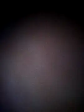 Snapshot of thehotlady chatting on October 24, 8:44 am thehotlady online show from October 24, 8:44 am