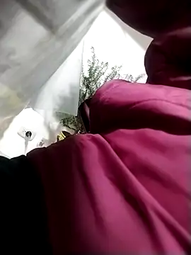 Snapshot of LaraCaliente chatting on November 4, 1:27 am LaraCaliente online show from November 4, 1:27 am