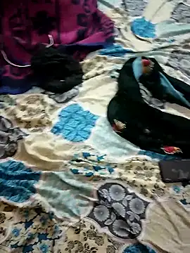 Snapshot of monarani5986 chatting on November 20, 6:29 pm monarani5986 online show from November 20, 6:29 pm