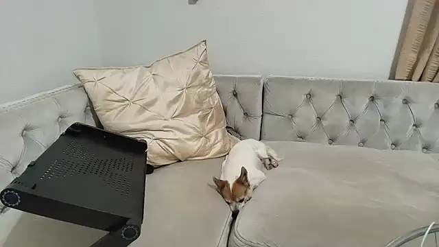 BarbieKarly online show from December 1, 1:21 am