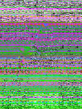 Snapshot of MaddyX__ chatting on November 15, 7:21 pm MaddyX online show from November 15, 7:21 pm