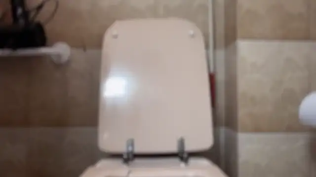 Chaserlovebear online show from November 1, 1:51 am