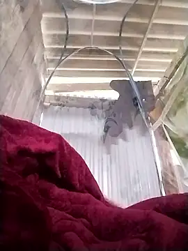 Emmyly 123 online show from January 7, 3:31 am