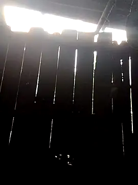 donna-bae online show from October 10, 11:04 pm