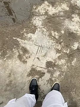 swami ji online show from March 19, 11:14 am