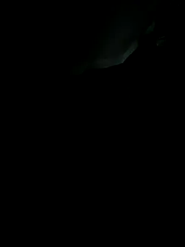 sebo801 online show from September 18, 5:31 am