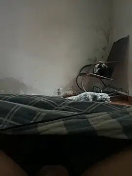 Snapshot of sambergSILVa chatting on November 8, 12:38 pm sambergSILVa online show from November 8, 12:38 pm