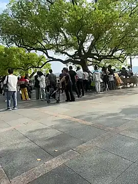 leeyoung  online show from April 10, 7:46 am