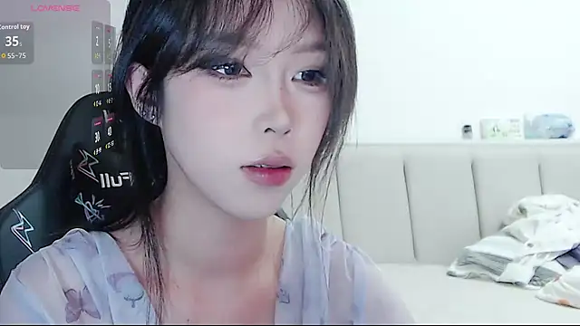 Puppy-12 online show from November 15, 10:01 am