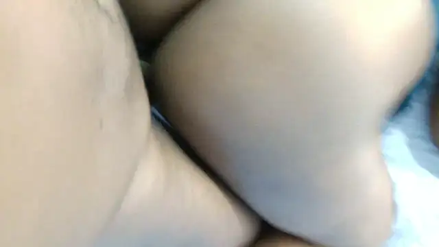 Dandelion enigman online show from January 11, 9:25 am