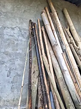 diamond-- online show from April 17, 12:57 am