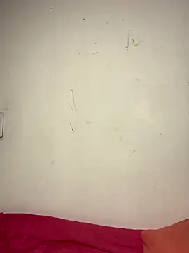 Snapshot of Bulma04 chatting on November 9, 4:33 am Bulma04 online show from November 9, 4:33 am