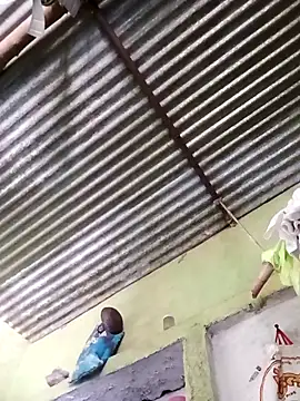 Haliya88 online show from March 24, 6:51 am