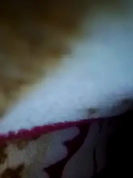 alone boy802 online show from November 26, 2:34 am