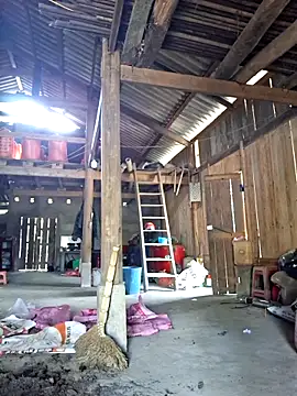 xuxulovezz online show from March 2, 7:48 am