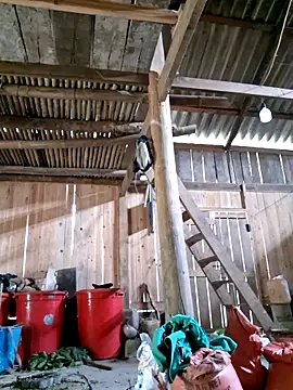 xuxulovezz online show from April 4, 4:44 am