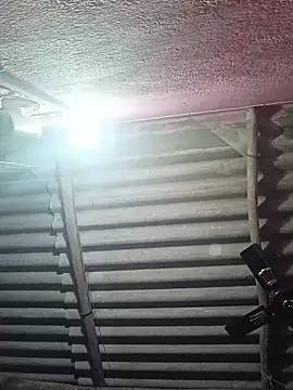 reya743 online show from December 20, 11:56 pm