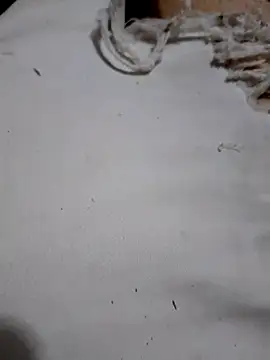 Snapshot of SALCEDO_041198 chatting on October 11, 10:52 pm SALCEDO 041198 online show from October 11, 10:52 pm