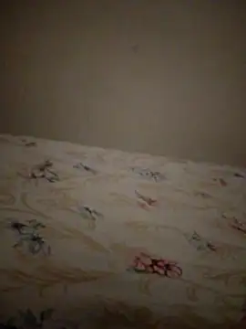 Snapshot of SALCEDO_041198 chatting on November 20, 11:32 am SALCEDO 041198 online show from November 20, 11:32 am