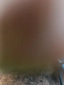 Snapshot of Mohamed234897 chatting on November 23, 2:28 pm Mohamed234897 online show from November 23, 2:28 pm