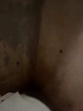 Snapshot of favelado33 chatting on September 26, 4:22 pm favelado33 online show from September 26, 4:22 pm