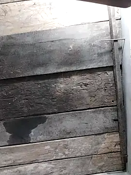 zhen-zo online show from April 17, 11:24 am