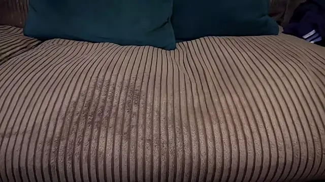 nogard ncb online show from October 13, 8:03 am