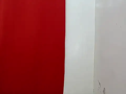 Snapshot of amandareddragon chatting on November 21, 4:38 pm amandareddragon online show from November 21, 4:38 pm