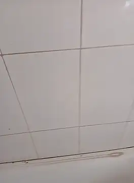 PhoningTint online show from October 12, 3:22 pm