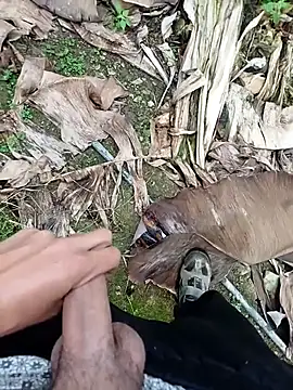 Sikici0734 online show from November 13, 9:19 am