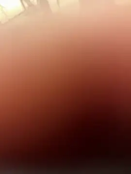 4dagals online show from April 29, 4:11 pm