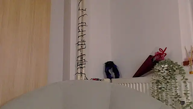 adacgrey online show from February 20, 4:29 pm