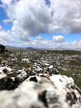 Sert erkek21 ysm online show from March 31, 9:21 am