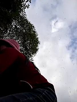 miomio-12 online show from December 20, 2:29 am