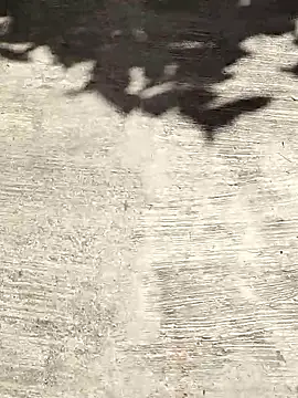 deepti 07 online show from October 6, 9:40 am