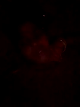 Tg sonam online show from October 23, 4:17 pm