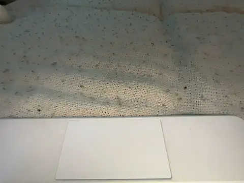 Snapshot of goddesemiiyy chatting on November 18, 6:34 pm goddesemiiyy online show from November 18, 6:34 pm