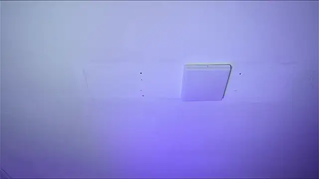 Bayonetta doll online show from February 14, 12:46 pm