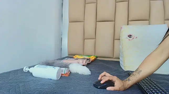 hannah teehn online show from November 20, 7:02 pm