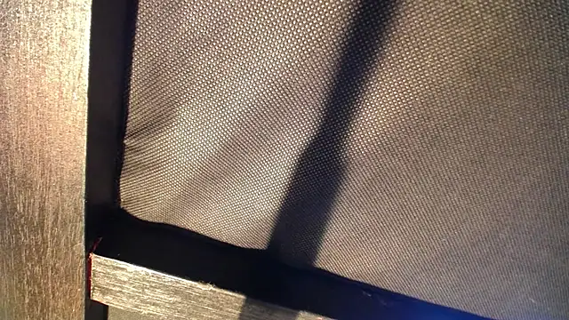 Snapshot of celeste_solis chatting on November 24, 8:19 pm celeste solis online show from November 24, 8:19 pm