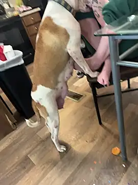 Mustbethemoney1234 online show from April 6, 9:05 pm