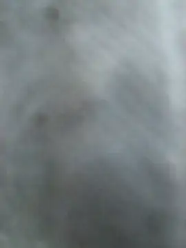 Hottypriya69 online show from November 2, 2:41 pm