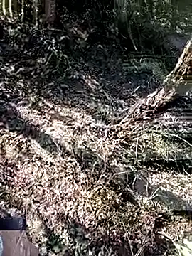 228fucker online show from January 8, 7:43 am