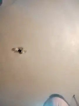 james81mzmga online show from November 15, 8:11 am