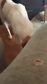 Snapshot of goloso80 chatting on October 22, 1:11 pm goloso80 online show from October 22, 1:11 pm