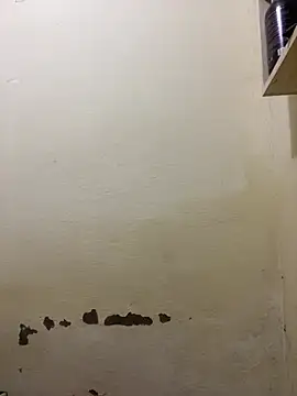 yoryy07 online show from March 14, 2:00 pm